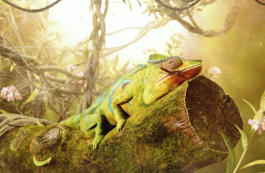 CGI chameleon in a jungle