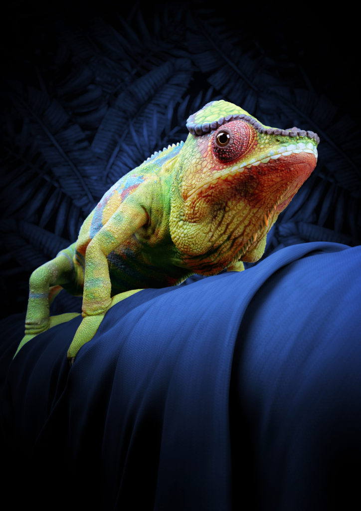 Boomcgi London animal design portrait Chameleon
