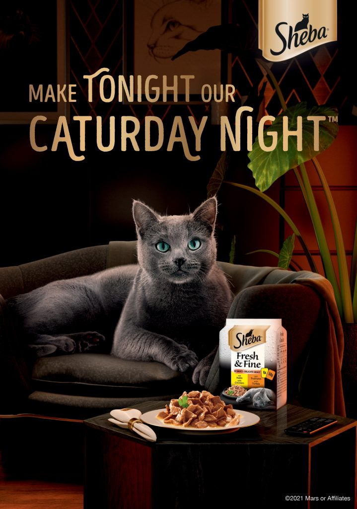 CGI Sheba cat advert, Caturday