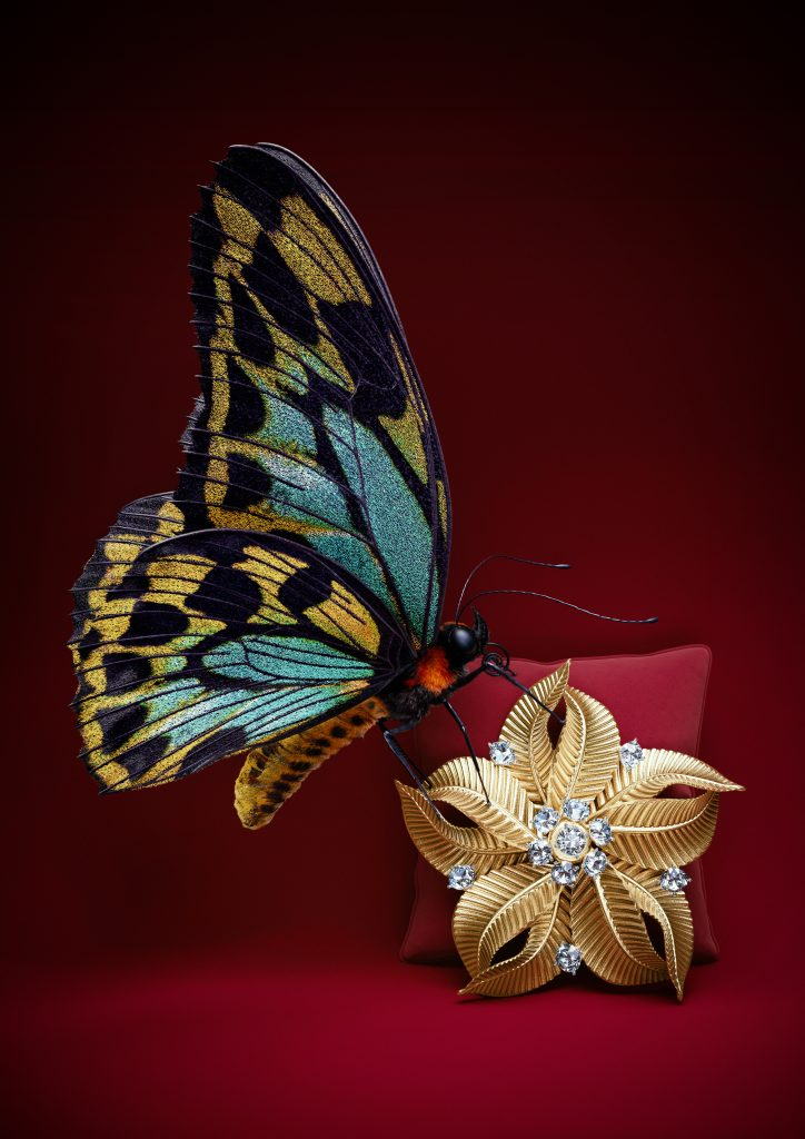 Cartier Jewellery, CGI Butterfly