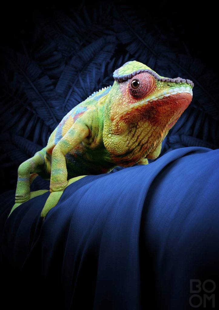 cgi animal design portrait Chameleon